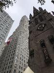IMG_4859.JPG