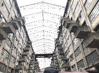 IMG_4879.JPG