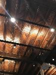 IMG_4910.JPG