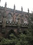 IMG_4928.JPG