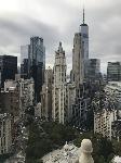 IMG_5500.JPG