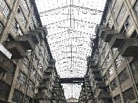 IMG_5739.JPG