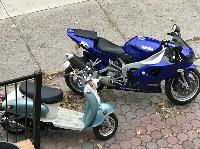 IMG_5428.JPG