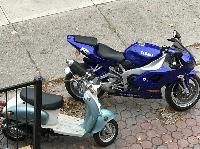 IMG_5431.JPG