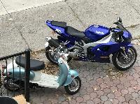 IMG_5432.JPG