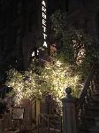 IMG_8075.JPG