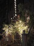 IMG_8076.JPG