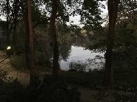 IMG_7647.JPG