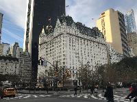 IMG_7697.JPG