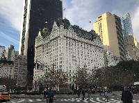 IMG_7698.JPG