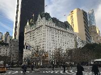 IMG_7699.JPG