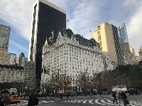 IMG_7701.JPG