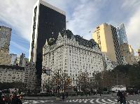 IMG_7702.JPG