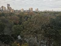 IMG_7723.JPG