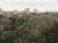 IMG_7752.JPG