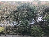 IMG_7758.JPG