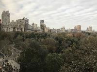 IMG_7771.JPG