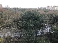 IMG_7772.JPG