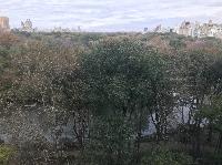 IMG_7773.JPG