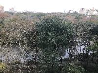 IMG_7774.JPG