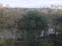 IMG_7775.JPG