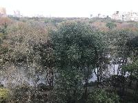 IMG_7776.JPG