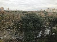 IMG_7778.JPG