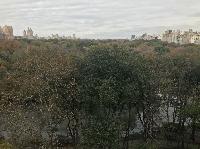 IMG_7779.JPG