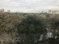 IMG_7780.JPG