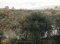 IMG_7784.JPG