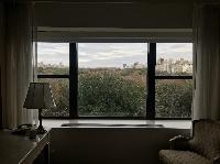 IMG_7790.JPG