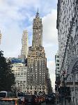 IMG_7915.JPG