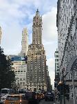 IMG_7916.JPG