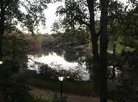 IMG_7947.JPG