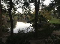 IMG_7950.JPG