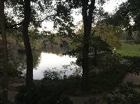 IMG_7951.JPG