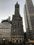 IMG_7960.JPG