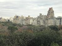 IMG_7979.JPG