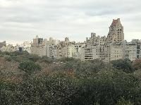 IMG_7980.JPG
