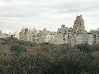 IMG_7982.JPG