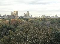 IMG_7983.JPG