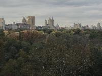 IMG_7985.JPG