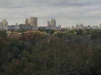 IMG_7986.JPG