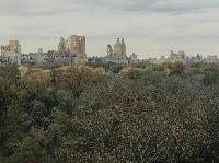 IMG_7987.JPG