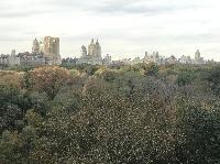 IMG_7988.JPG
