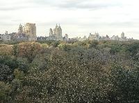 IMG_7989.JPG