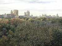 IMG_7991.JPG