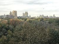 IMG_7992.JPG