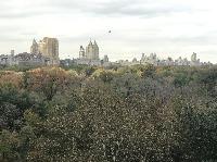 IMG_7993.JPG