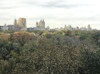 IMG_7995.JPG